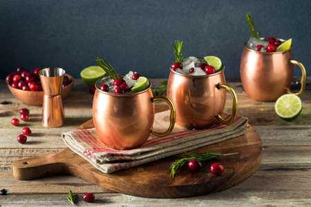 Alcoholic Festive Moscow Mules with Cranberry and Rosemaryの写真素材