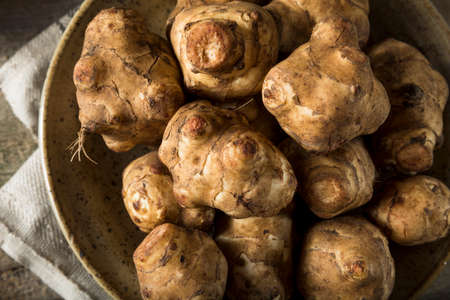 Raw Organic Jerusalem Artichoke Sunchokes Ready to Cook