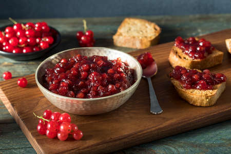Homemade Organic Red Currant Jam Ready to Eatの写真素材