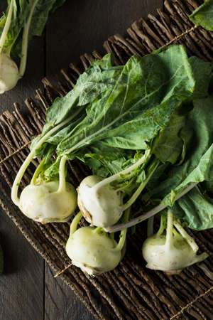 Raw Organic Green Kohlrabi in a Bunchの写真素材