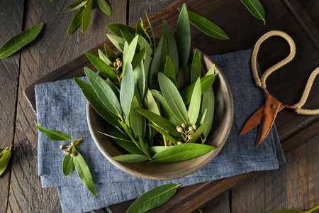 Fresh Organic Green Bay Leaves in a Bowl