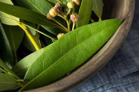 Fresh Organic Green Bay Leaves in a Bowl