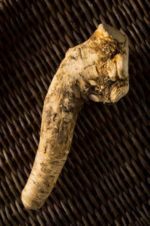 Raw Organic Brown Horseradish Root Ready for Cookingの写真素材