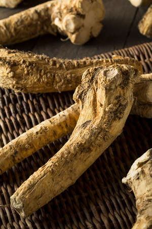 Raw Organic Brown Horseradish Root Ready for Cookingの写真素材