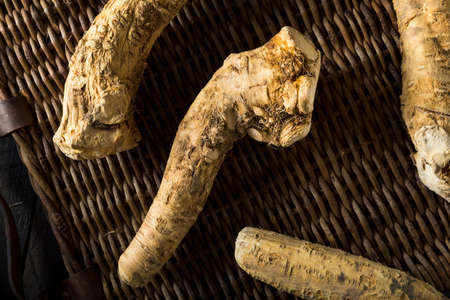Raw Organic Brown Horseradish Root Ready for Cookingの写真素材