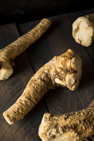 Raw Organic Brown Horseradish Root Ready for Cookingの写真素材