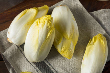 Raw Organic Belgian Endive Ready to Eatの写真素材