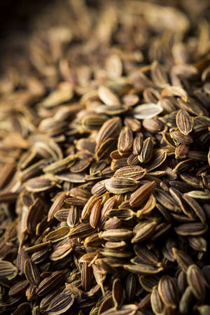 Dry Organic Tarragon Seed Spice in a Bowlの写真素材