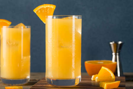 Homemade Alcoholic Gin and Juice Cocktail with Orange and Grapefruitの写真素材
