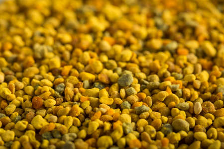 Raw Organic Yellow Bee Pollen for Good Healthの写真素材