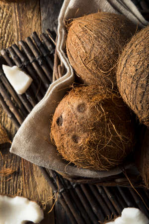 Raw Organic Tropical Brown Coconuts Ready to Openの写真素材