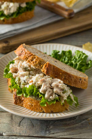 Homemade Healthy Chicken Salad Sandwich with Chipsの写真素材