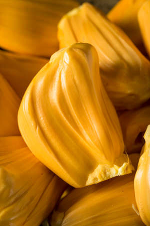 Homemade Organic Fresh Jackfruit Ready to Eatの写真素材