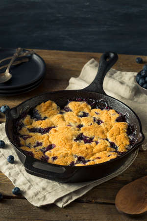 Sweet Homemade Blueberry Cobbler Dessert with Ice Creamの写真素材