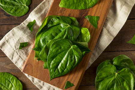 Raw Organic Green Pan Leaves Ready to Cook With