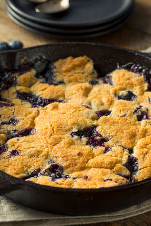Sweet Homemade Blueberry Cobbler Dessert with Ice Creamの写真素材