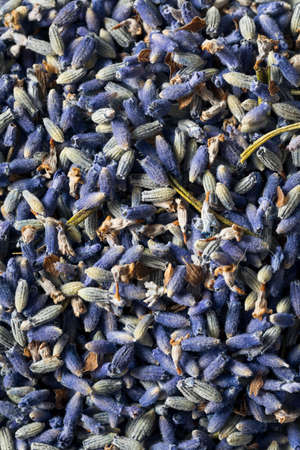 Raw Organic Dry Purple Lavender Spice in a Bowlの写真素材