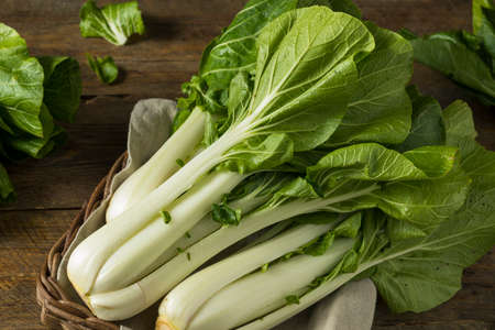 Raw Green Organic Bok Choy Healthy Fresh Vegetableの写真素材