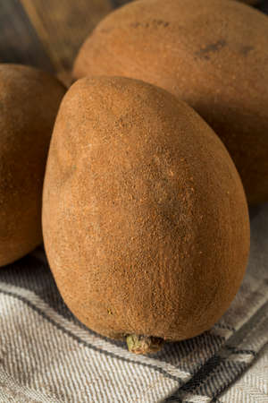 Raw Organic Brown Mamey Fruit with a Brown Seedの写真素材