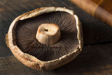Healthy Organic Raw Portobello Mushroom Caps Ready to Eat