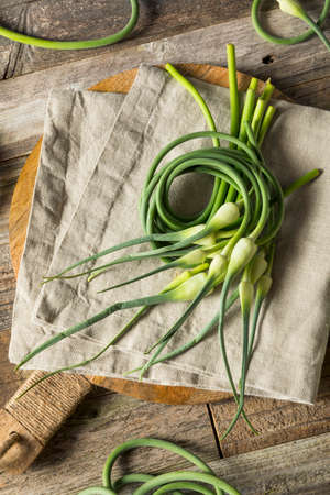 Raw Green Organic Garlic Scapes Ready to Useの写真素材