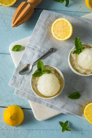 Homemade Yellow Lemon Italian Ice in a Bowlの写真素材