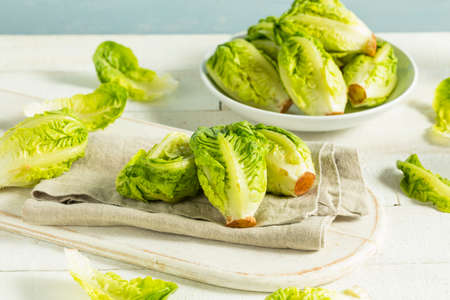 Raw Organic Green Baby Lettuce Hearts Ready to Cook Withの写真素材