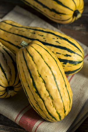 Raw Organic Delicata Squash Ready to Cook Withの写真素材