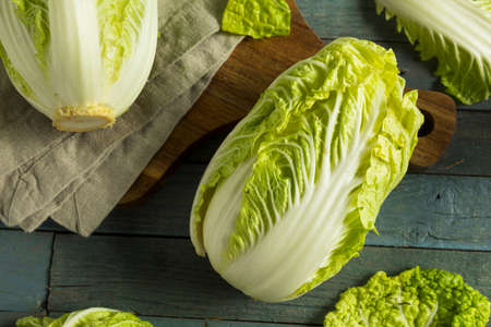 Raw Green Organic Napa Cabbage Ready to Useの写真素材