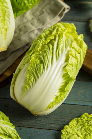 Raw Green Organic Napa Cabbage Ready to Useの写真素材