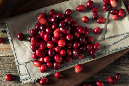 Raw Red Organic Cranberries Ready to Cook With