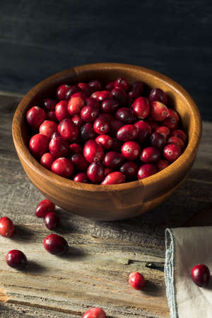 Raw Red Organic Cranberries Ready to Cook Withの写真素材