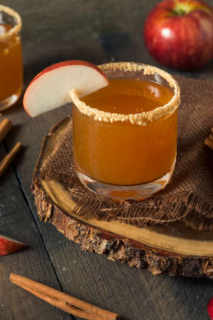 Homemade Rustic Apple Cider Pie Cocktail with Cinnamonの写真素材