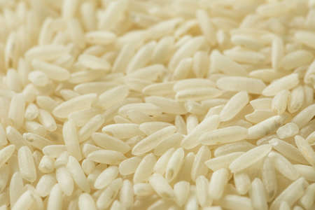 Organic Dry Long Grain White Rice in a Bowlの写真素材