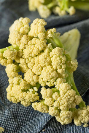 Raw Organic White Flowering Cauliflower Ready to Cookの写真素材