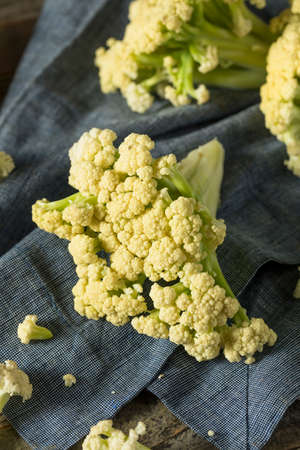 Raw Organic White Flowering Cauliflower Ready to Cookの写真素材