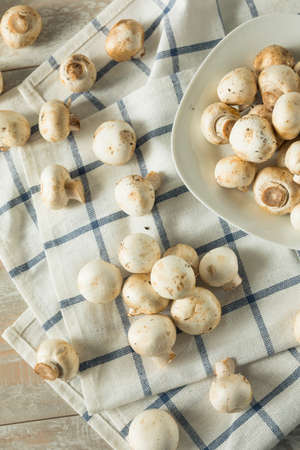 Raw White Organic Baby Button Mushrooms Ready to Cookの写真素材