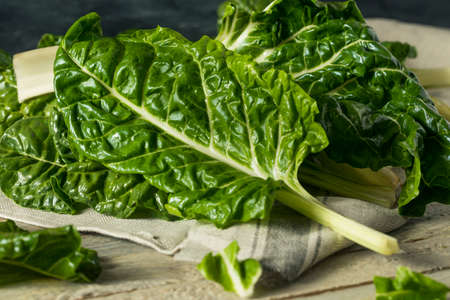 Raw Organic Green Swiss Chard Ready to Cookの写真素材