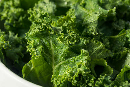 Raw Green Organic Curly Kale in a Bowl