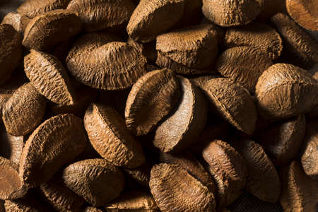 Raw Brown Organic Shelled Brazil Nuts in a Bowlの写真素材