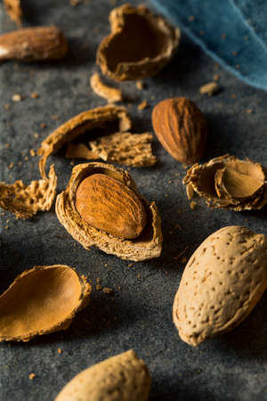 Raw Brown Organic Shelled Almonds Ready to Crackの写真素材