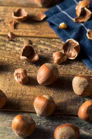 Raw Brown Organic Shelled Hazelnut Filberts Ready to Crackの写真素材