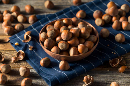 Raw Brown Organic Shelled Hazelnut Filberts Ready to Crack