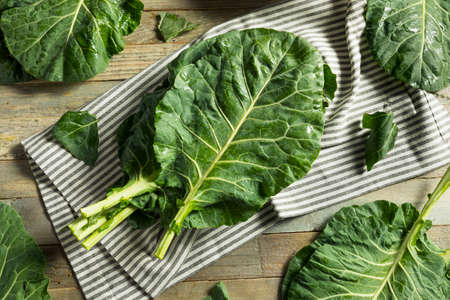 Raw Green Organic Collard Greens Ready to Cookの写真素材