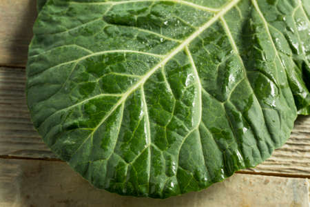Raw Green Organic Collard Greens Ready to Cook