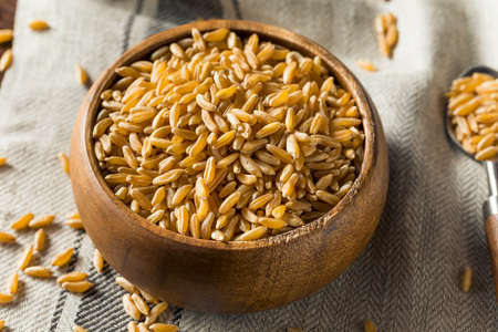 Raw Organic Dry Kamut Berries Grain in a Bowlの写真素材