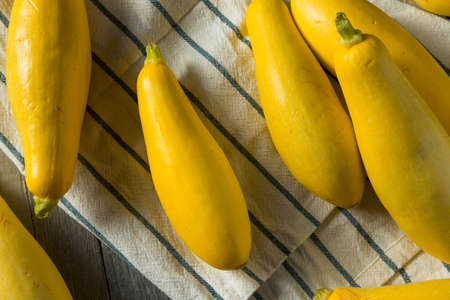 Yellow Organic Straight Neck Zucchini Ready to Cookの写真素材