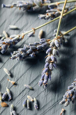 Organic Purple Dry Lavender in a Bundleの写真素材