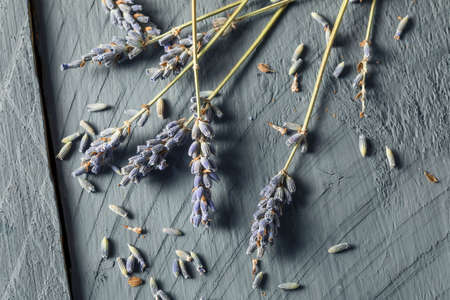 Organic Purple Dry Lavender in a Bundleの写真素材