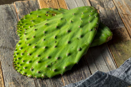 Raw Green Organic Cactus Leaf Fruit Ready to Cookの写真素材
